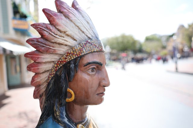 A Majestic Indian Chief with a Feather Headdress