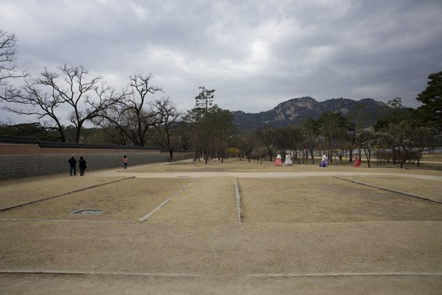 Ethereal Strolls in Korea's Park, 2024
