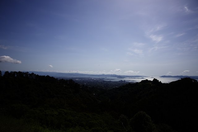 A Serene Hilltop View in Berkeley