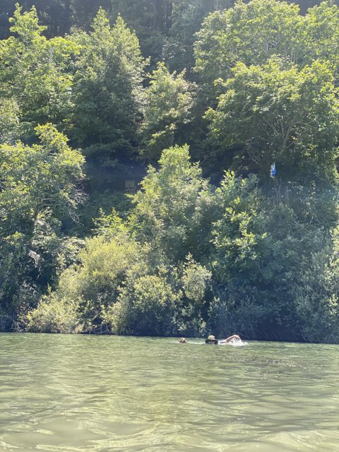 Kite-Flying Fun on the Water