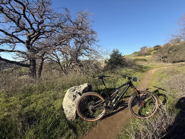 Serene Trails of Lime Ridge