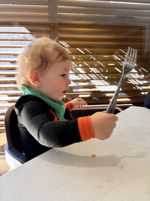 Little Fork Master