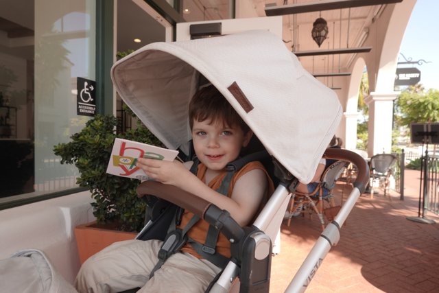 Stroller Adventures