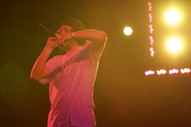 White-Shirted Crooner Lights Up Coachella Stage