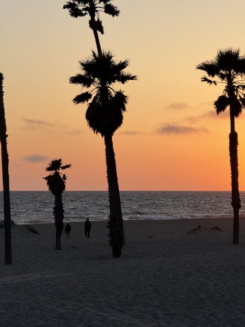 Sunset Stroll in Oxnard