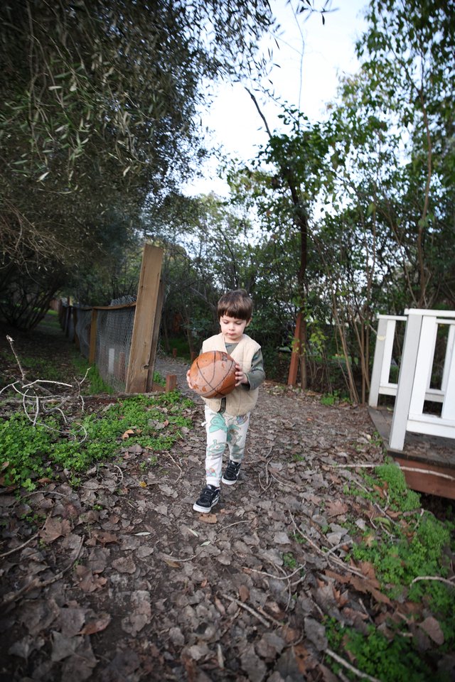 Young Boy Carrying Basketball Through Garden Path
