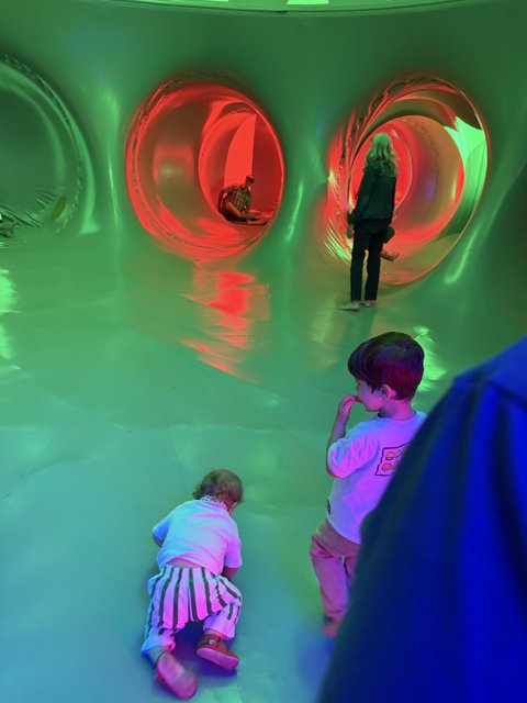 Playful Reflections