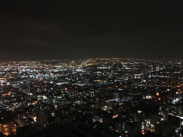 Nighttime Skyline of Downtown LA