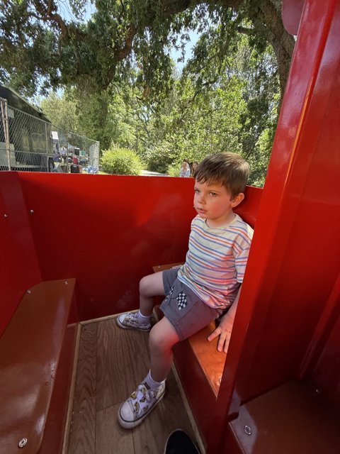 Contemplation in the Park