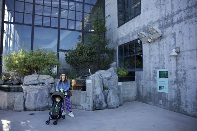 Urban Adventure: A Day at Monterey Bay Aquarium