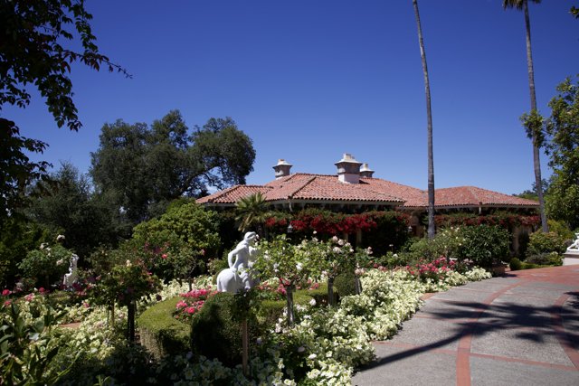 Summer Serenity at Hearst Castle