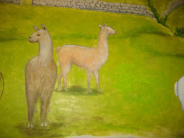 Llama Duo in the Wild
