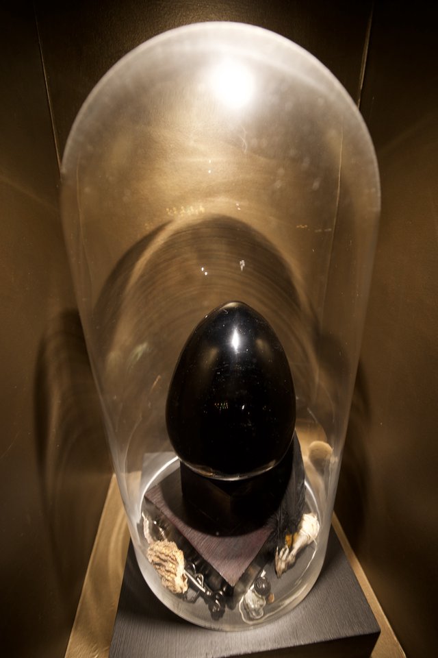 Black Obsidian Egg Under Illuminated Glass Dome Display