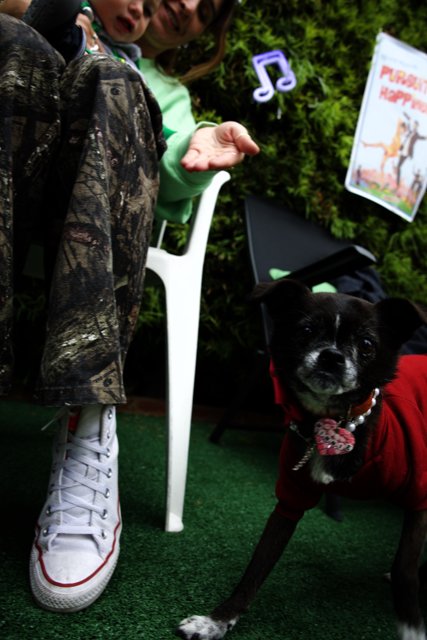 A Pawsome Guest at the Grad Party