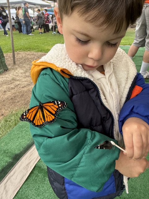 Monarch Moment