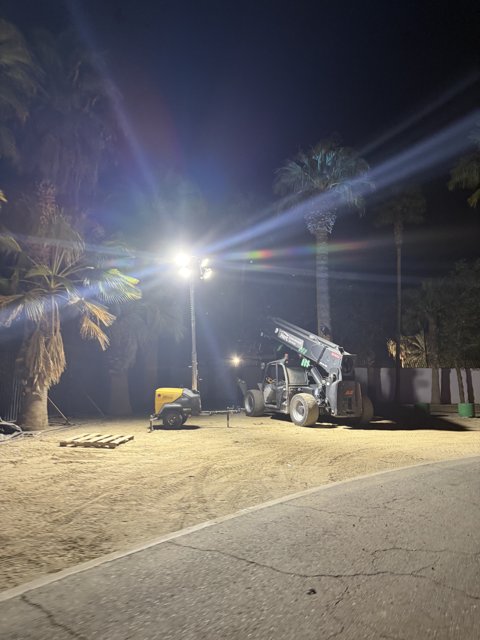 Nocturnal Glow in the Desert Oasis