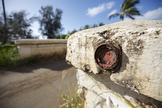 Red Button on a Cement Wall in Hawaii