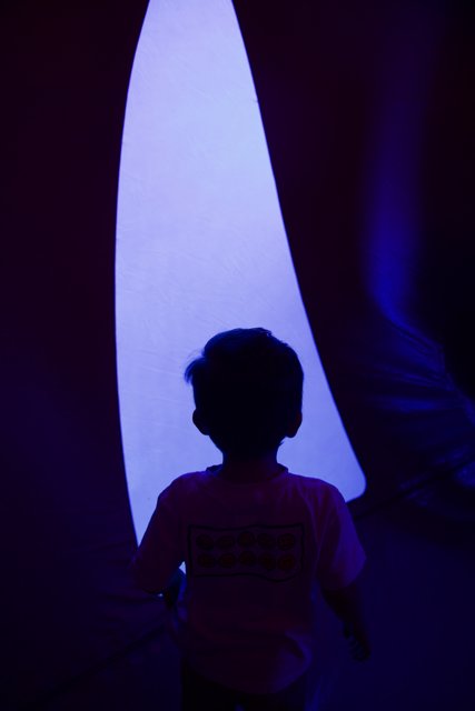Gateway to Wonder