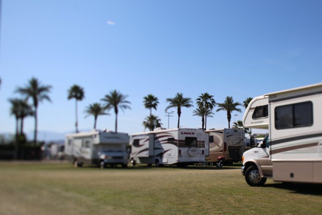 A Gathering of Motor Homes