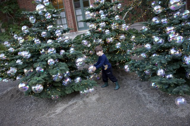 Enchanted Holiday Moment