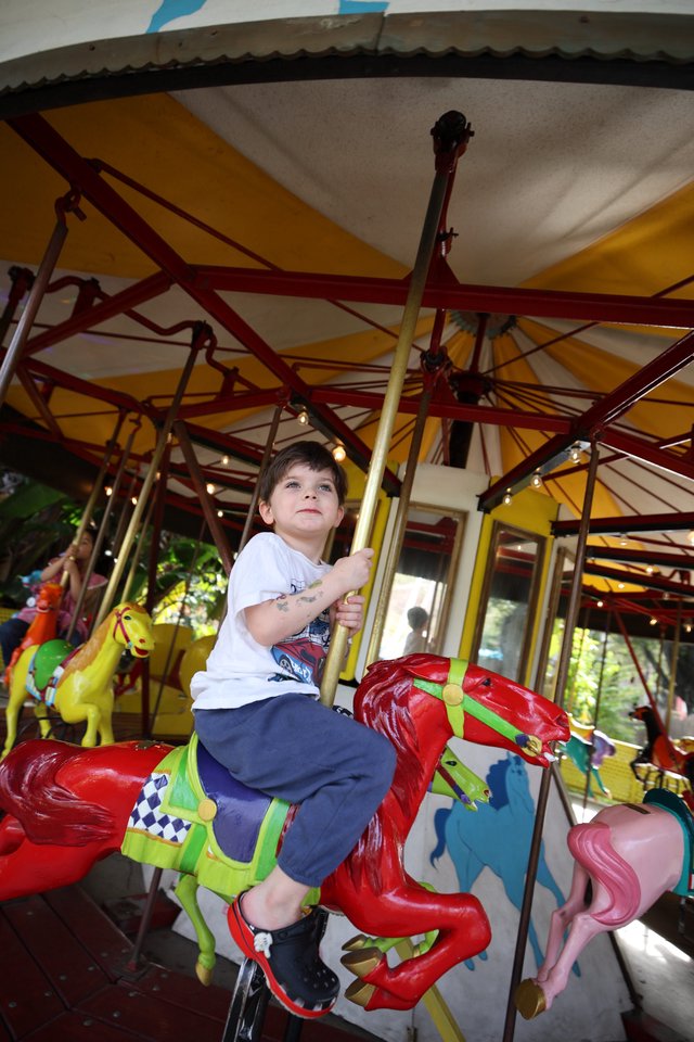 Young Child Enjoying Colorful Carousel Ride at Fantasyland