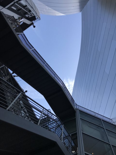 The Spiraling Structure of Walt Disney Concert Hall