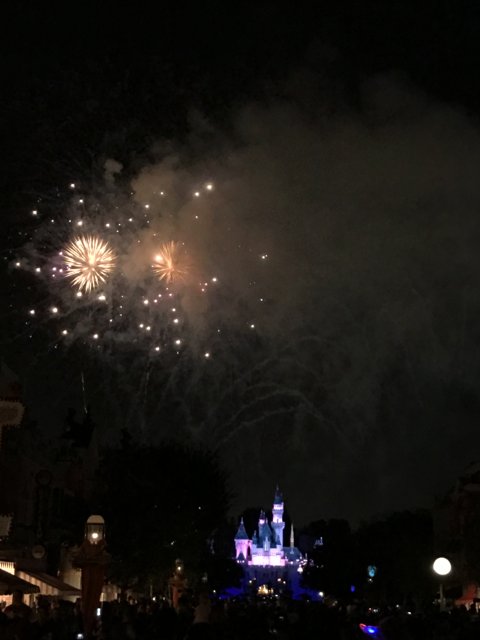 Sparkling Skies Above the Disneyland Castle