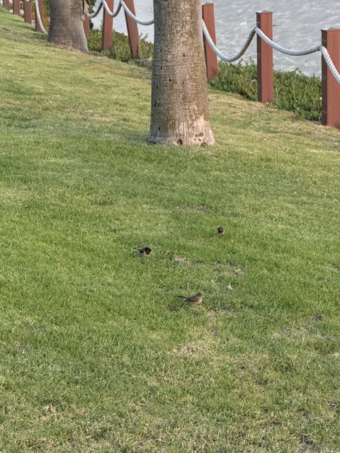 Peaceful Afternoon in Oxnard