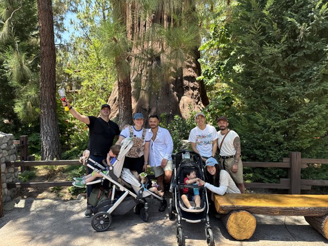 Adventure Awaits in the Sequoia Grove