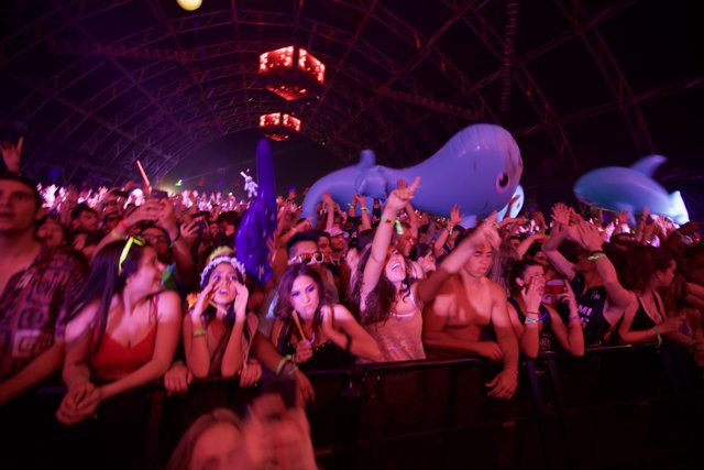 Whale Balloon Takes Over Coachella Crowd
