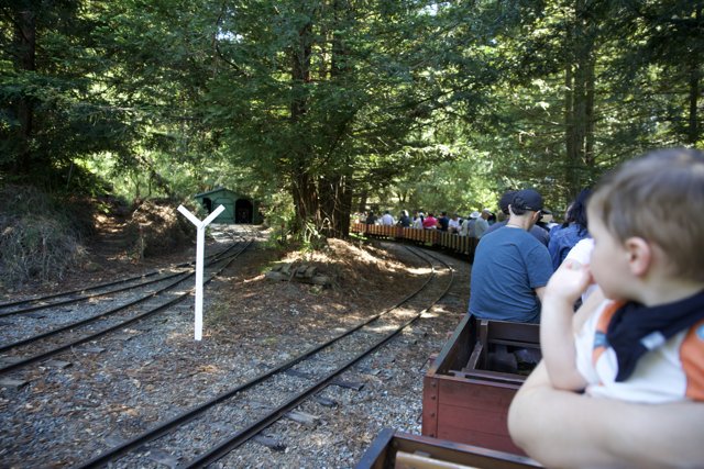 Chugging Along: A Day at Tilden Steam Trains