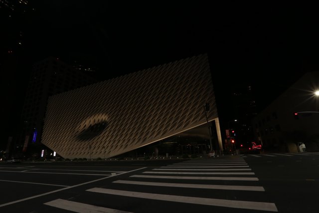 Cityscape and Art: The Broad Museum of Art in LA