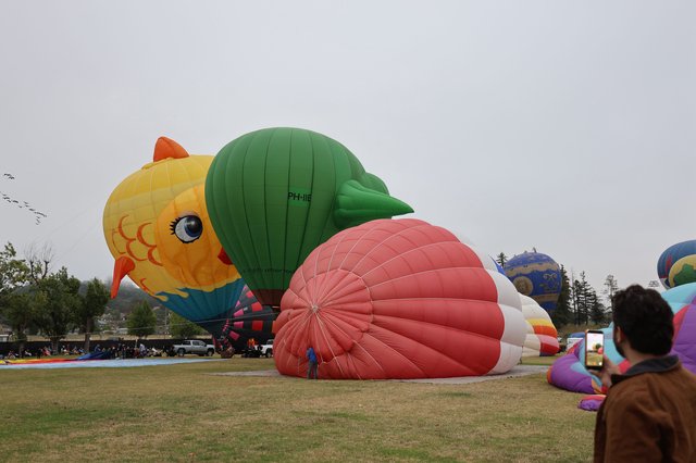 Colorful Giant Balloons Inflate at Sonoma County Classic