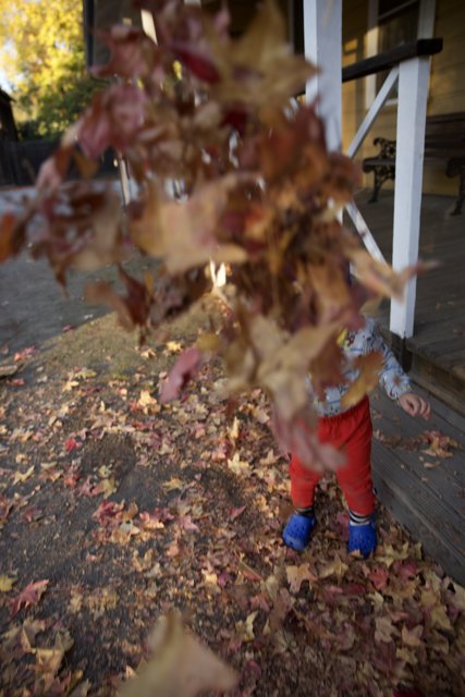 Autumn Portrait in Downtown Sonoma