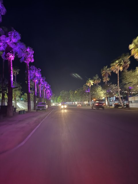 Illuminated Urban Oasis