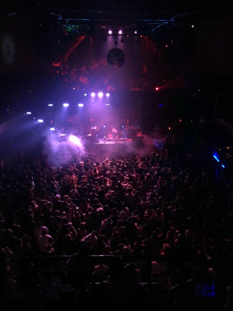 Bright Lights, Big Crowd: Rocking Out in LA