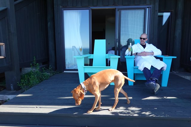 Relaxing with Dog on Deck Champagne