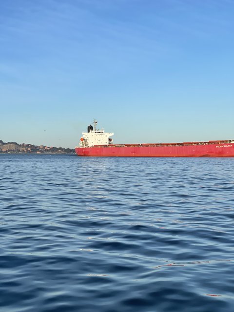 Red Freighter on the Bay