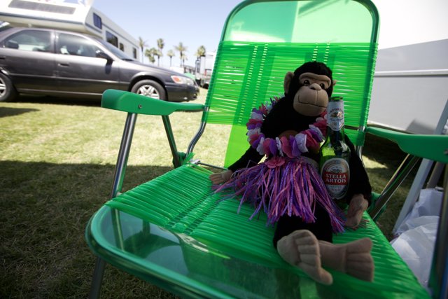 Monkeying Around on the Lawn Chair