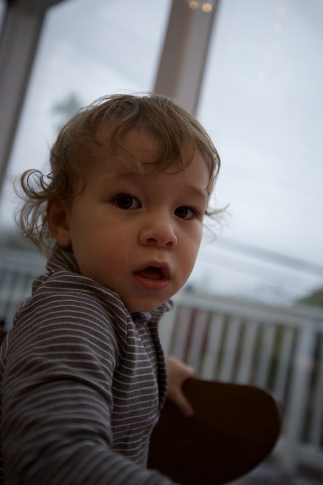 Curious Toddler with Wavy Hair Indoors