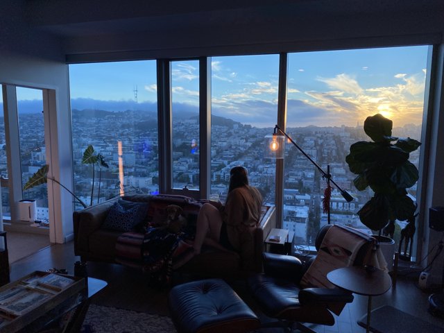 Cozy Afternoon in San Francisco Living Room