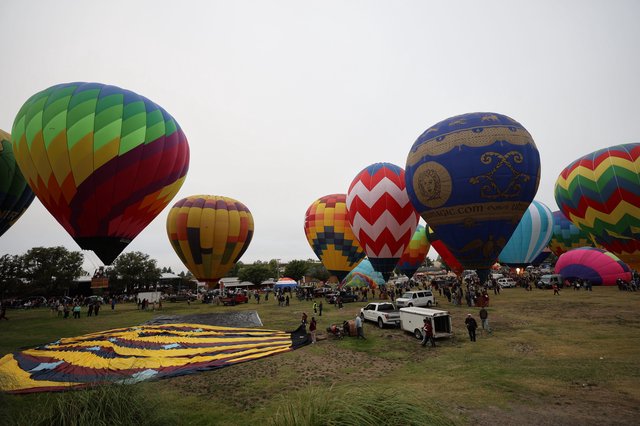 Colorful Hot Air Balloons Rise at Sonoma County Classic