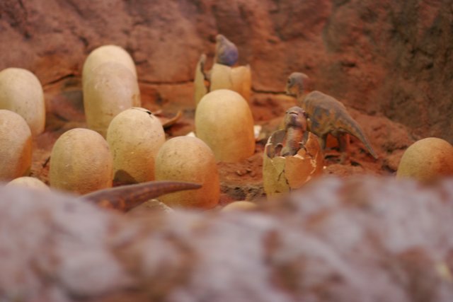 Wooden Eggs of Prehistoric Creatures