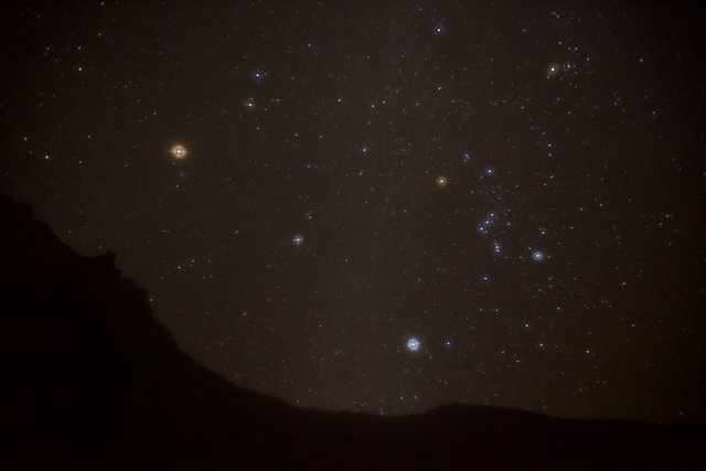 Orion's Stellar Display