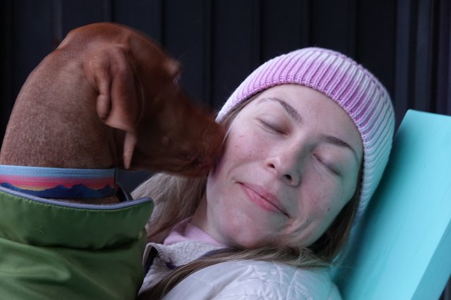 Peaceful Moment Between Dog and Owner
