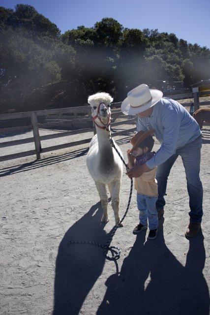 Cowboy Moments in Carmel Valley