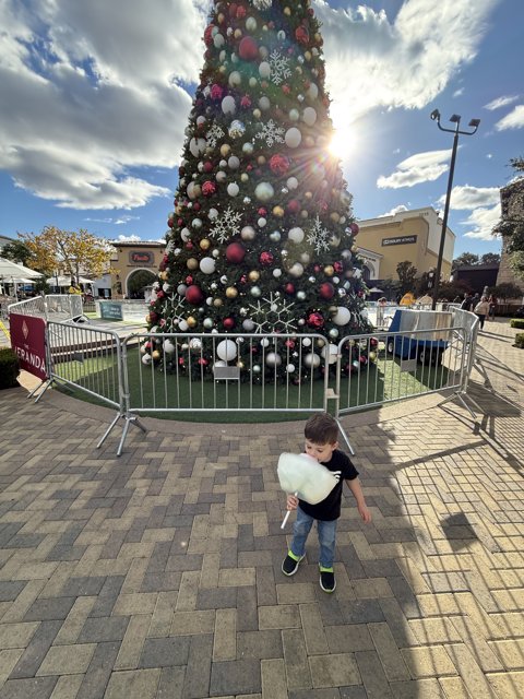 Holiday Magic at The Veranda