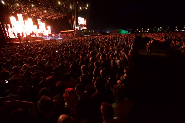 Massive Crowd at 2010 Coachella Rock Concert