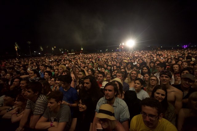 Crowd Gathers Under Starry Night Sky at Concert