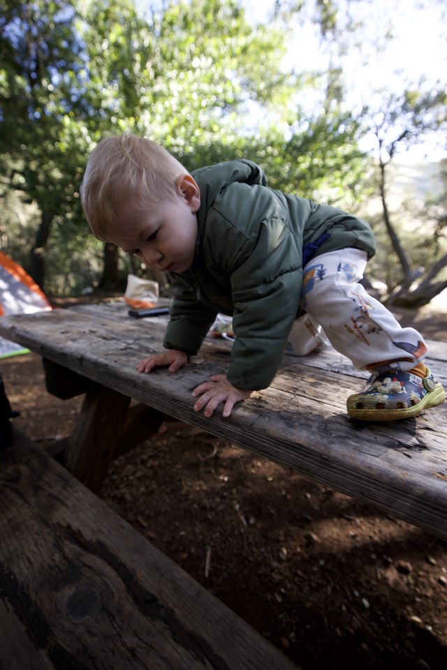 Fearless Toddler Conquers the Campsite Picnic Table
